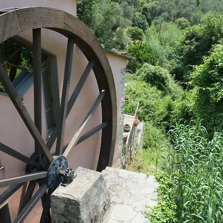 Il Mulino
