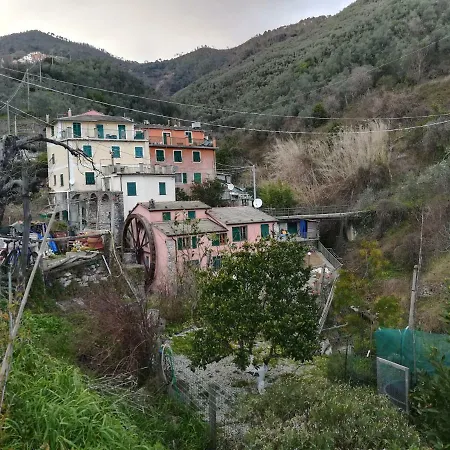 Il Mulino *